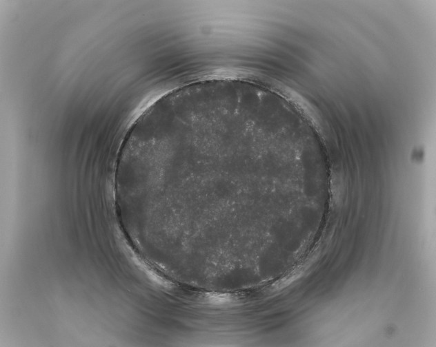 X0000091090794200709041301