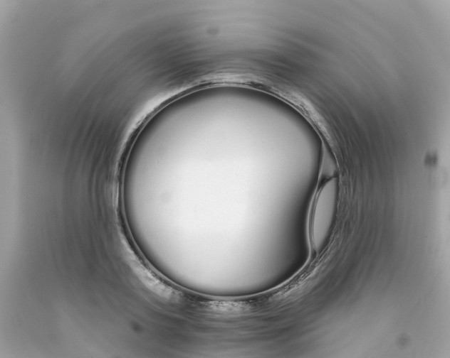 X0000091090795200709041301