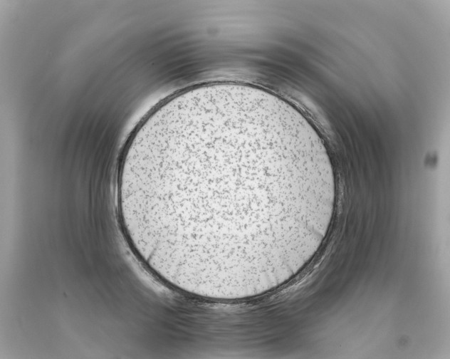 X0000091090796200709041301