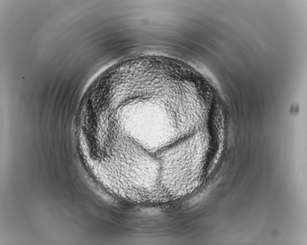 X0000091090798200709041301