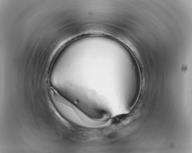 X0000091090799200709041301
