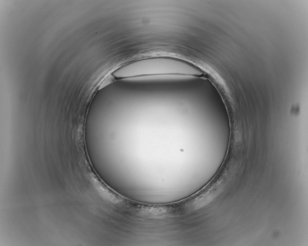 X0000091090801200709041301