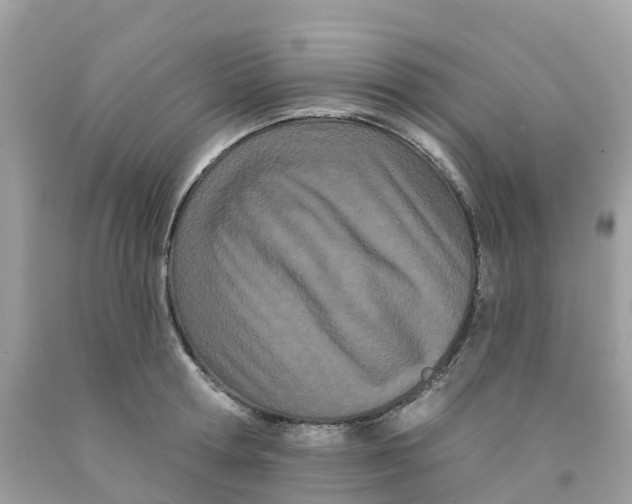 X0000091090802200709041301