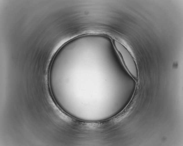 X0000091090803200709041301