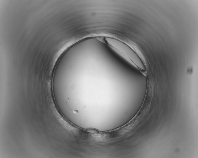 X0000091090805200709041301