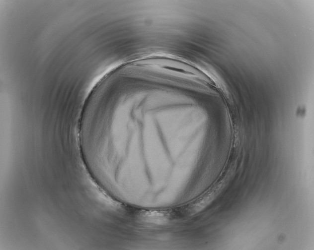 X0000091090806200709041301