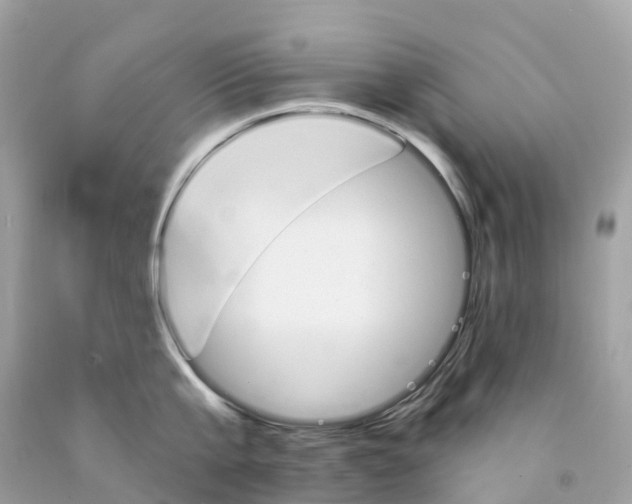 X0000091090807200709041301