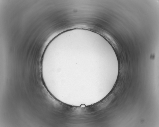 X0000091090808200709041301