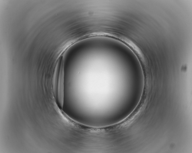 X0000091090809200709041301