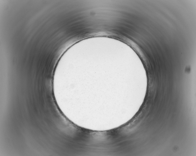 X0000091090810200709041301