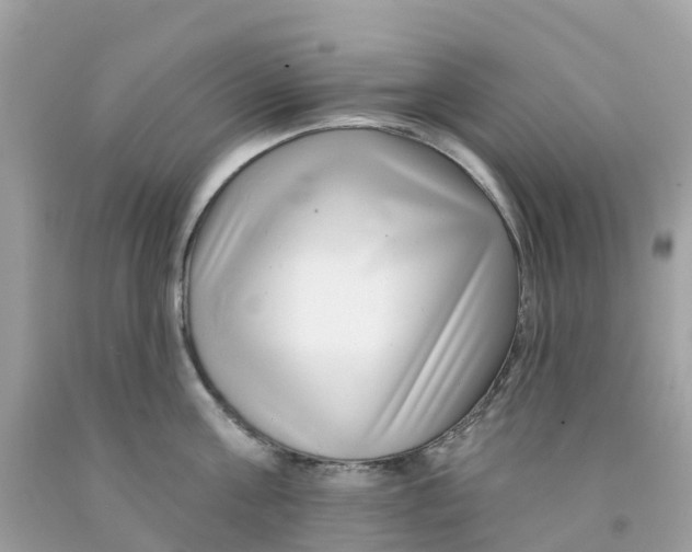 X0000091090811200709041301
