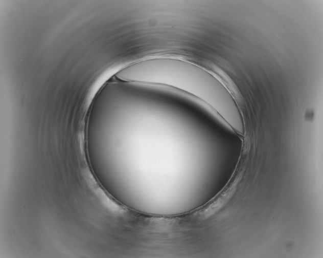 X0000091090812200709041301