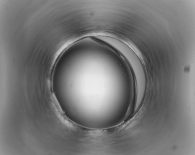 X0000091090813200709041301