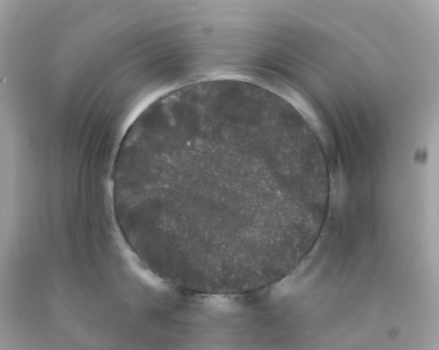 X0000091090814200709041301