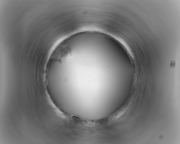 X0000091090815200709041301