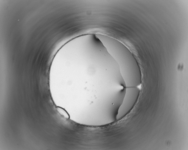 X0000091090816200709041301