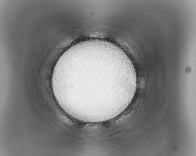 X0000091090817200709041300