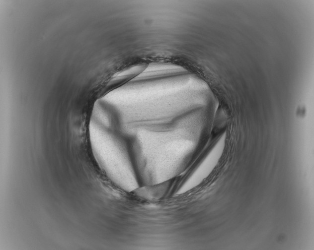 X0000091090818200709041300