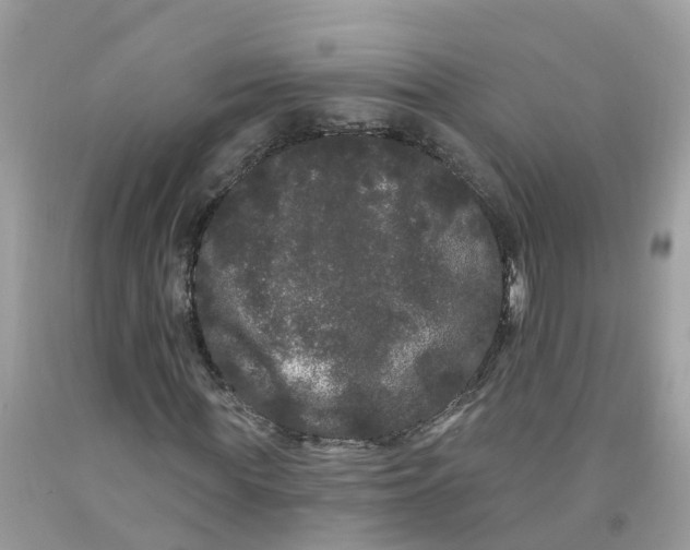 X0000091090819200709041300