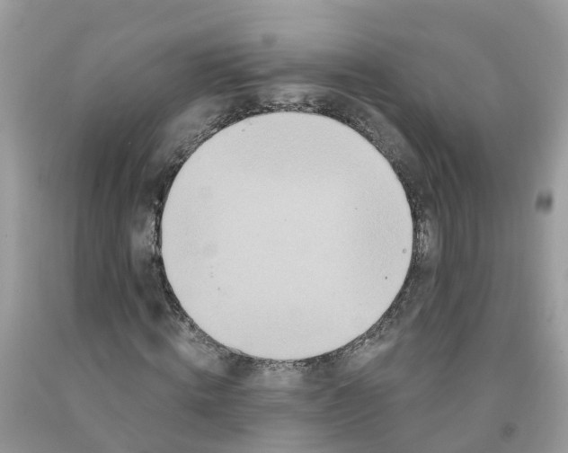 X0000091090820200709041300