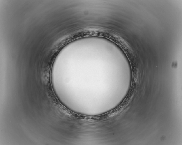 X0000091090821200709041300