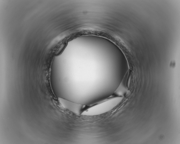 X0000091090822200709041300