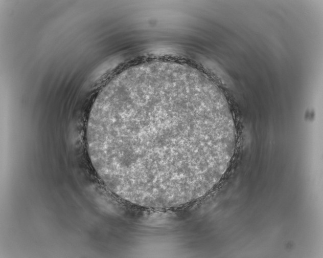 X0000091090824200709041300