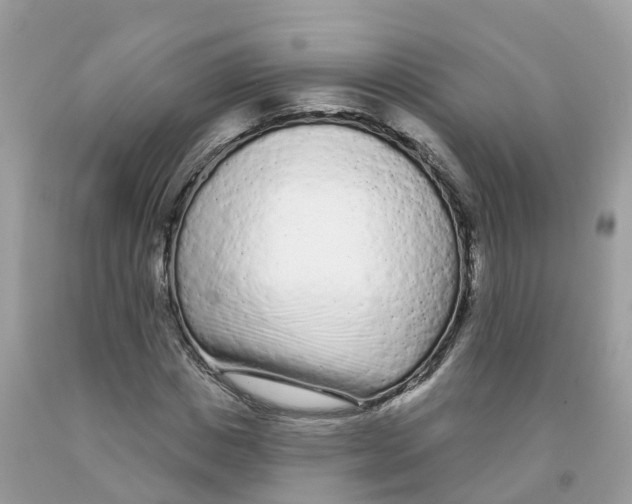 X0000091090825200709041300