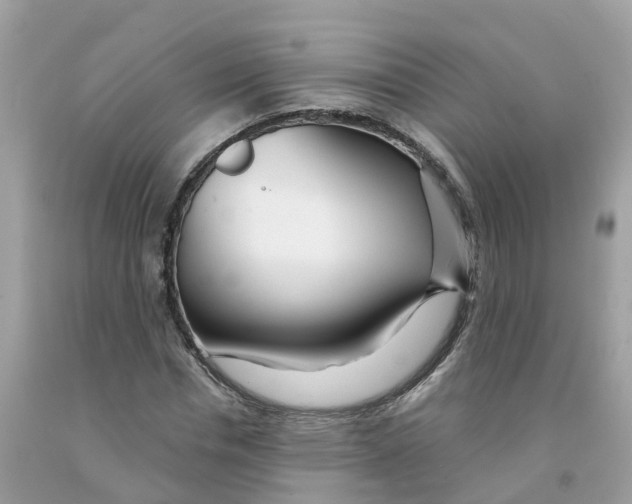 X0000091090826200709041300