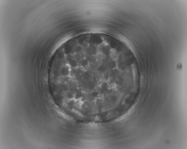 X0000091090827200709041300