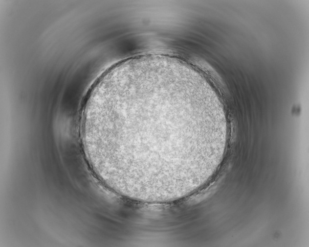 X0000091090828200709041300