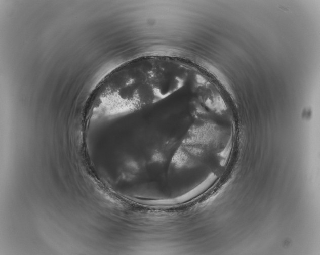 X0000091090829200709041300