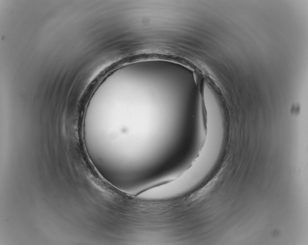 X0000091090830200709041300