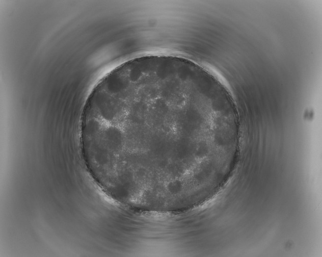 X0000091090831200709041300