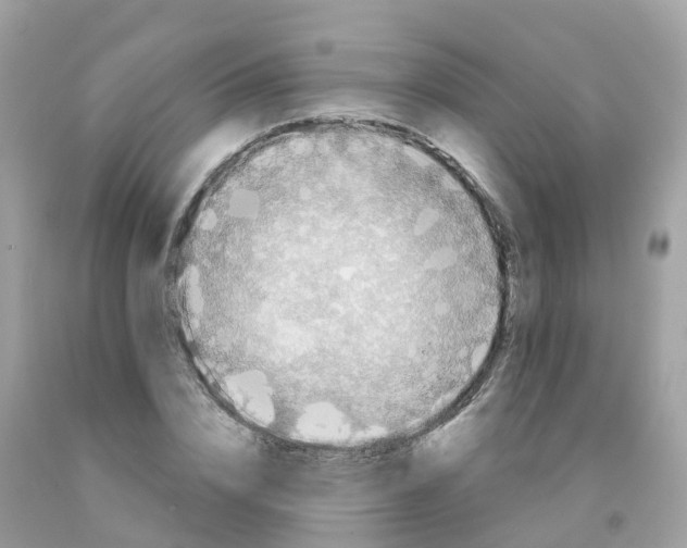X0000091090832200709041300