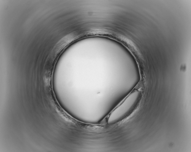 X0000091090833200709041300