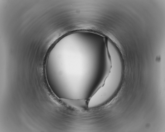 X0000091090834200709041300