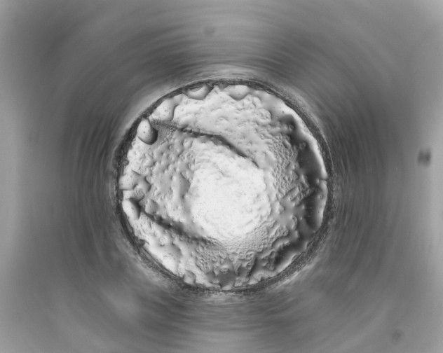 X0000091090835200709041301