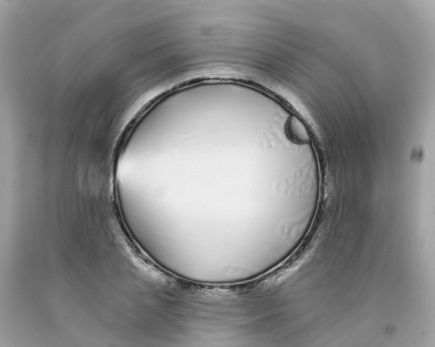 X0000091090837200709041301
