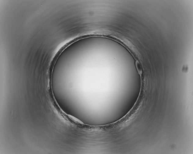 X0000091090838200709041301