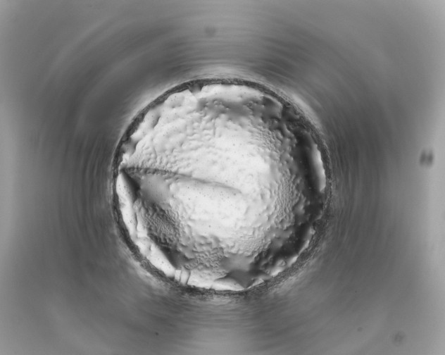 X0000091090839200709041301