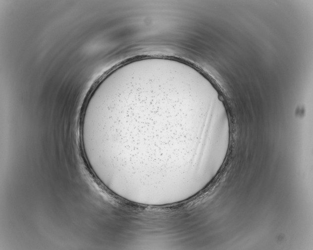X0000091090840200709041301
