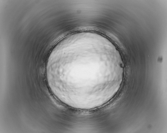 X0000091090841200709041301
