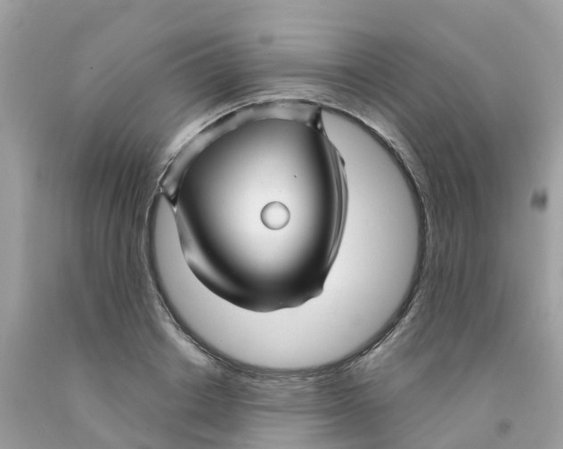 X0000091090842200709041301
