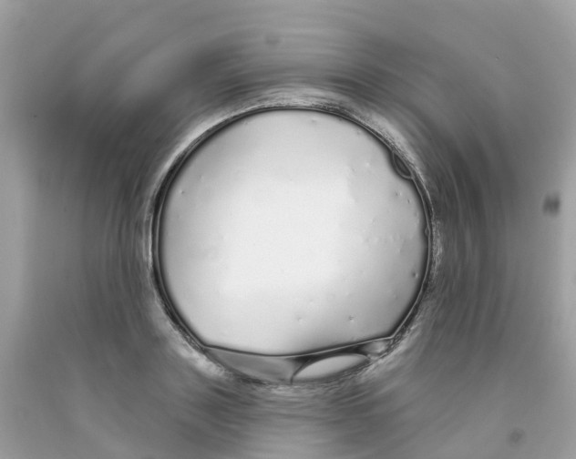 X0000091090843200709041301