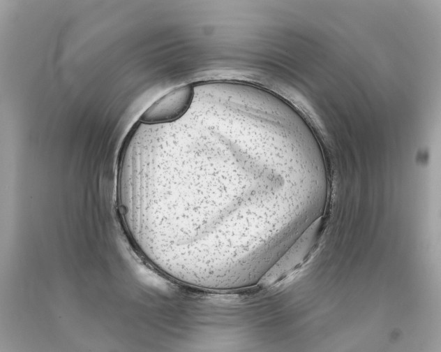 X0000091090844200709041301