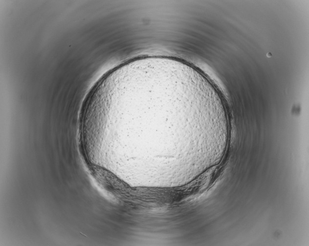 X0000091090845200709041301