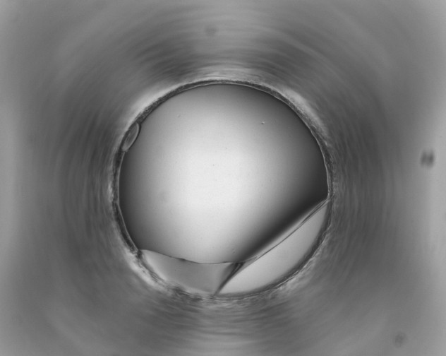 X0000091090846200709041301