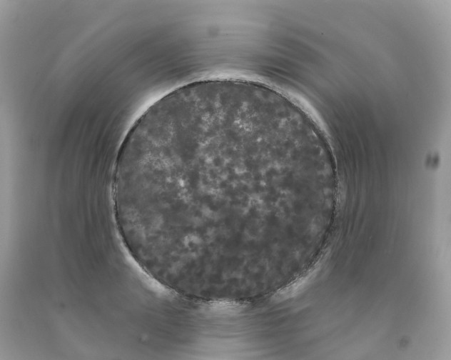 X0000091090847200709041301