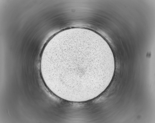X0000091090848200709041301